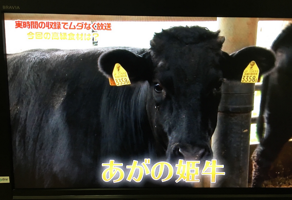 新潟県阿賀野市で大注目のブランド牛あがの姫牛とは
